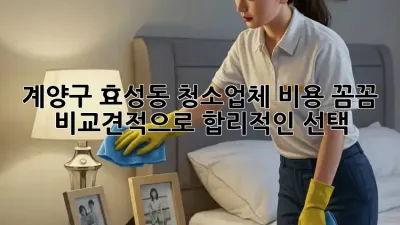 ✨ 계양구 효성동 청소업체 비용, 꼼꼼 비교견적으로 합리적인 선택! 🏡
