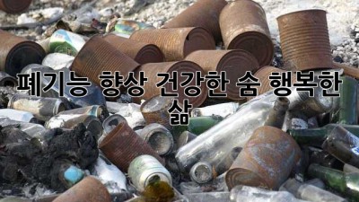 폐기능 향상: 건강한 숨, 행복한 삶